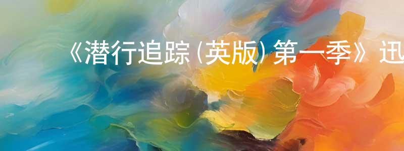 包晓林发布《潜行追踪(英版)第一季》迅雷下载/在线观看-选秀综艺-美剧天堂